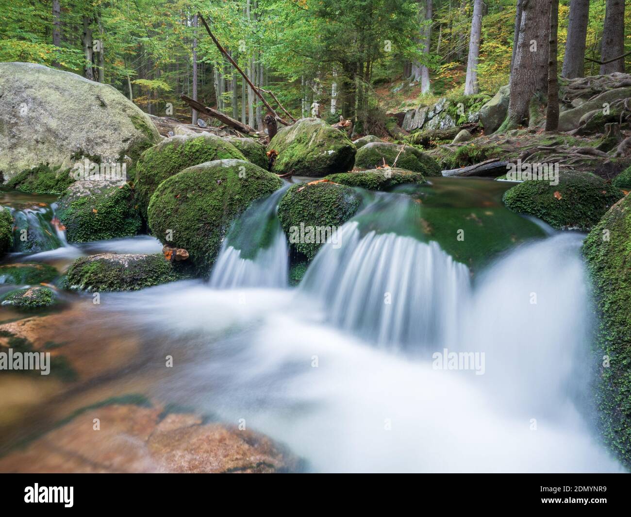 Vue sur le seuil de la rivière Szklarka dans les paysages d'automne des forêts des montagnes Giant. Longue exposition de l'eau courante. Banque D'Images