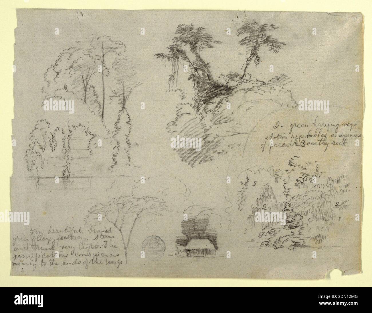Etudes botaniques et une maison, probablement de Colombie, église Frédéric Edwin, américaine, 1826–1900, Graphite sur papier gris, vue horizontale de contenir des arbres sur la rive d'une rivière en haut à gauche; arbres en bas à gauche; une maison sous les arbres en bas au centre; Et buissons avec des figures inscrites en bas à droite., 1853, études de la nature, dessin Banque D'Images