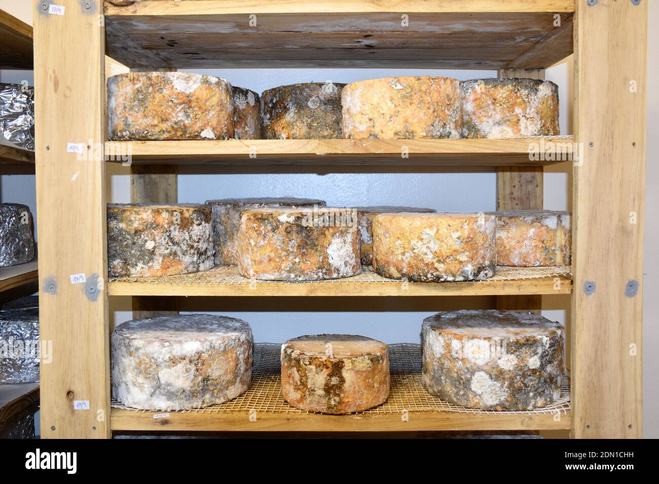 Etagère avec les fromages à maturation dans la chambre. Banque D'Images