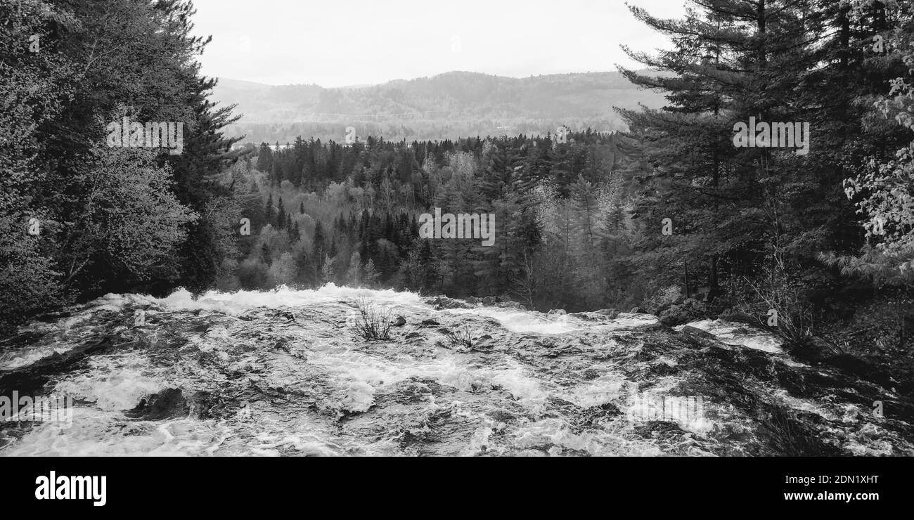 Vue panoramique de la rivière qui coule à travers la forêt Banque D'Images