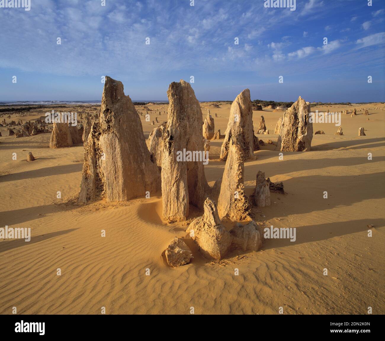 Australie. Australie occidentale. Parc national de Namburg. Les formations rocheuses des Pinnacles. Banque D'Images