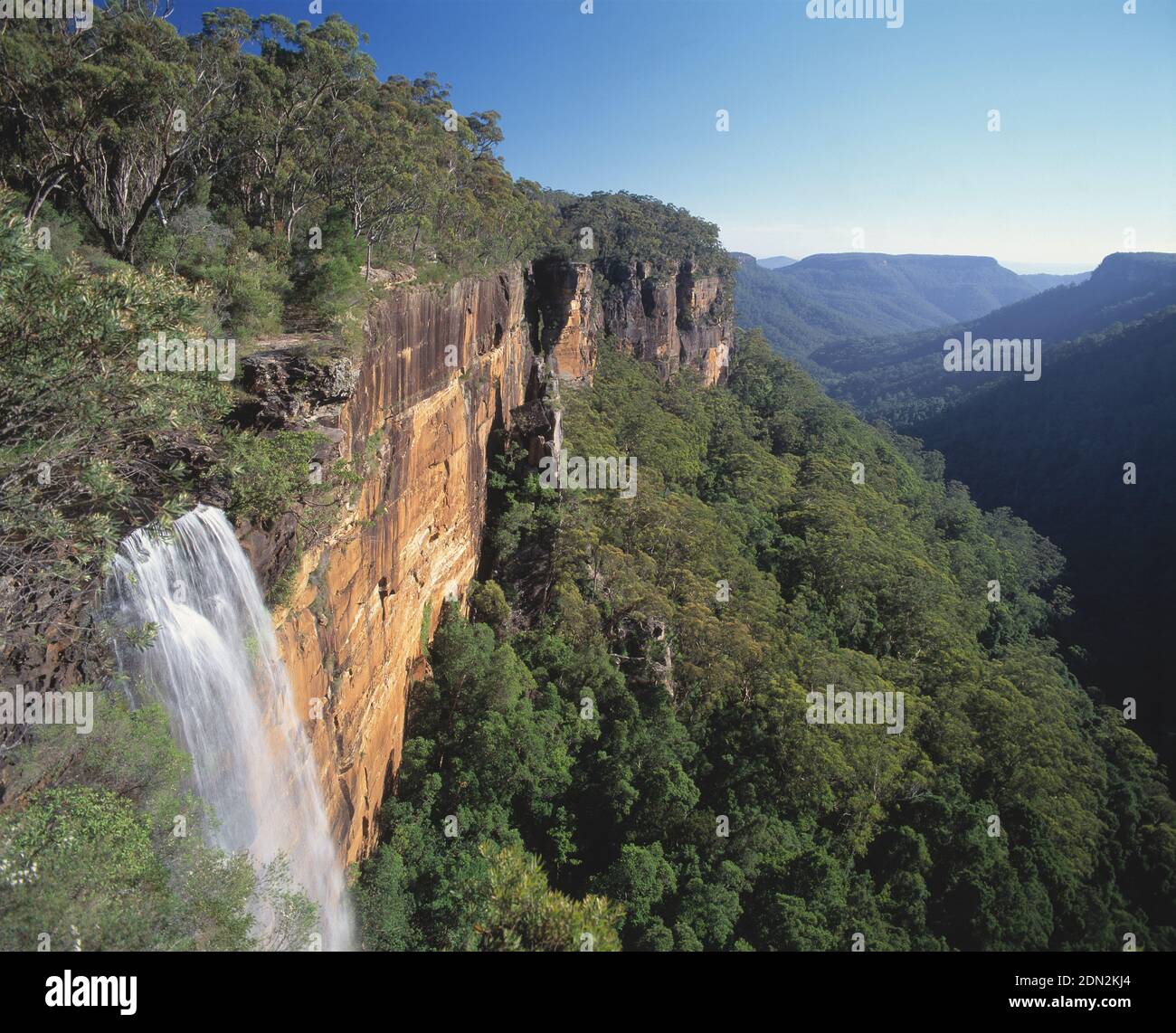 Australie. Nouvelle-Galles du Sud. Parc national de Morton. Chutes Fitzroy. Banque D'Images