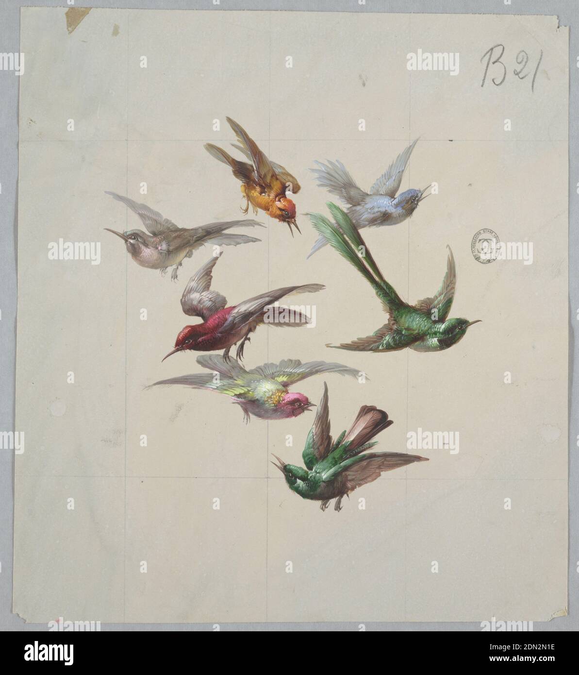 Design pour le papier peint et les textiles: Oiseaux, pinceau et gouache,  graphite sur papier crème, regroupement de sept oiseaux en vol, tous volant  des directions différentes. Dans le sens des aiguilles