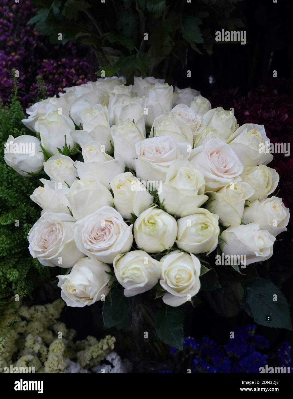 Fond Roses Blanches. Variété de roses blanches dans le beau bouquet.  Bouquet de mariée de rose blanche dans des couleurs vives dans la boutique  de fleurs sur le marché Photo Stock -