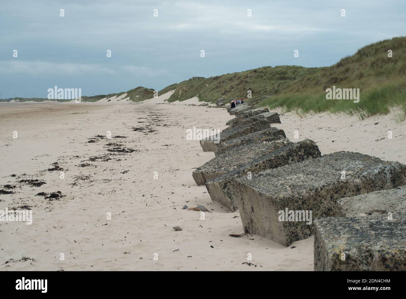 Les pièges en béton de la deuxième Guerre mondiale sont toujours en place le long Le littoral de la Northumbria Banque D'Images