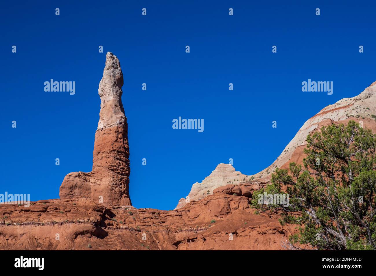 La panope du bassin sédimentaire spire du tuyau au-dessus de camping, parc d'état de Kodachrome Basin, Cannonville, Utah. Banque D'Images