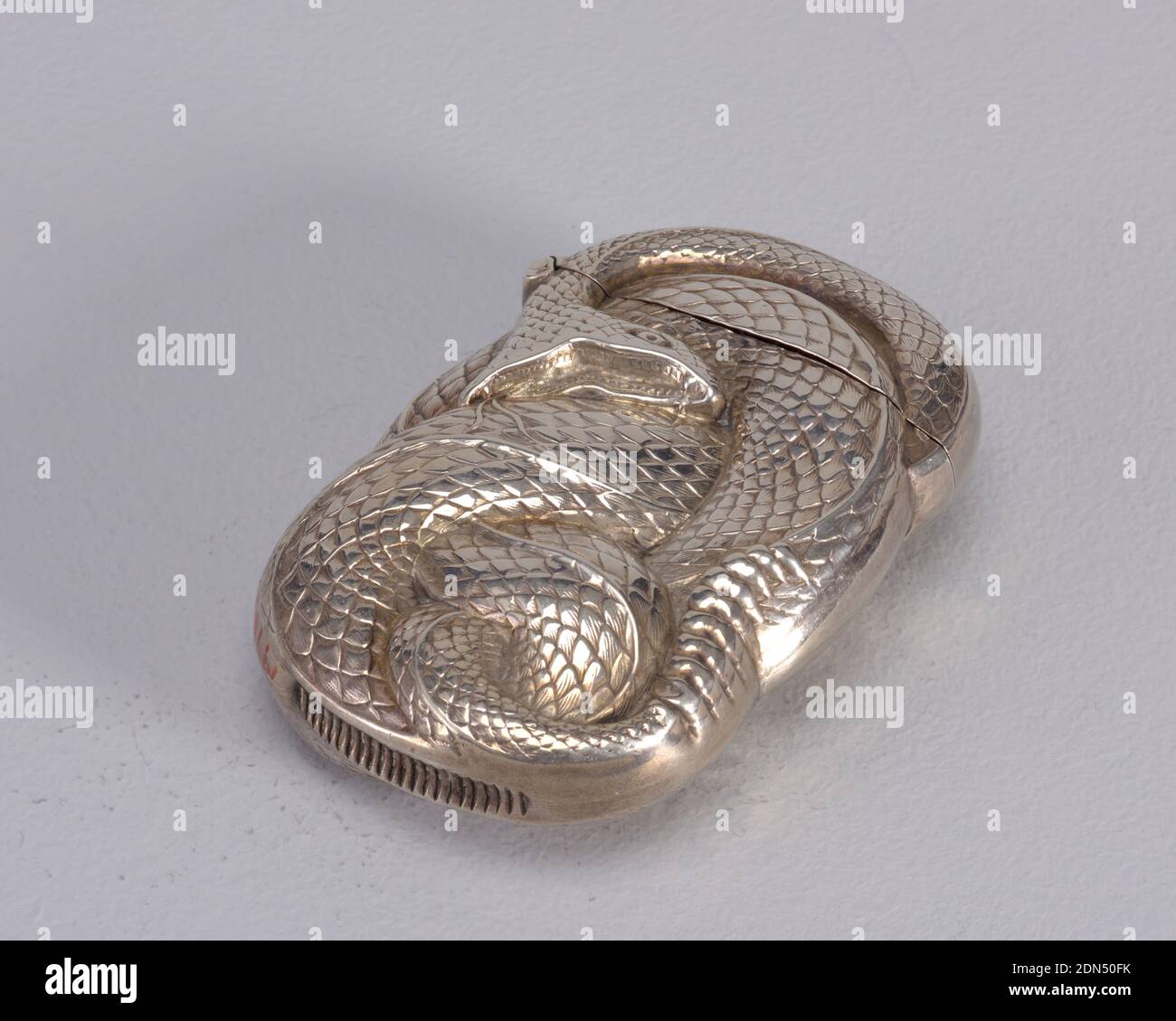 Rattlesnake Skin And Rattle Banque d'image et photos - Alamy