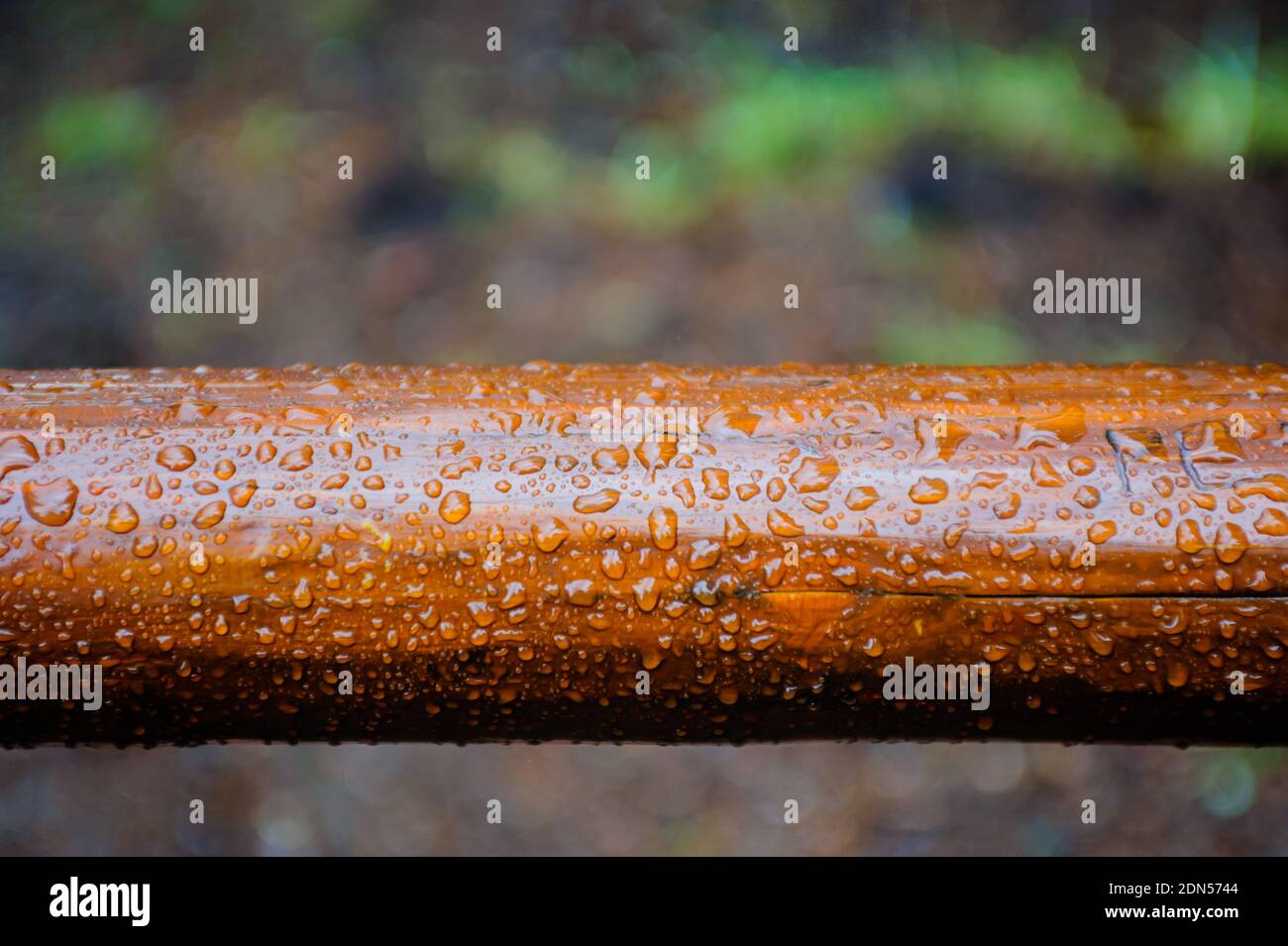 Gros plan de gouttelettes d'eau sur du bois brun poli. Banque D'Images