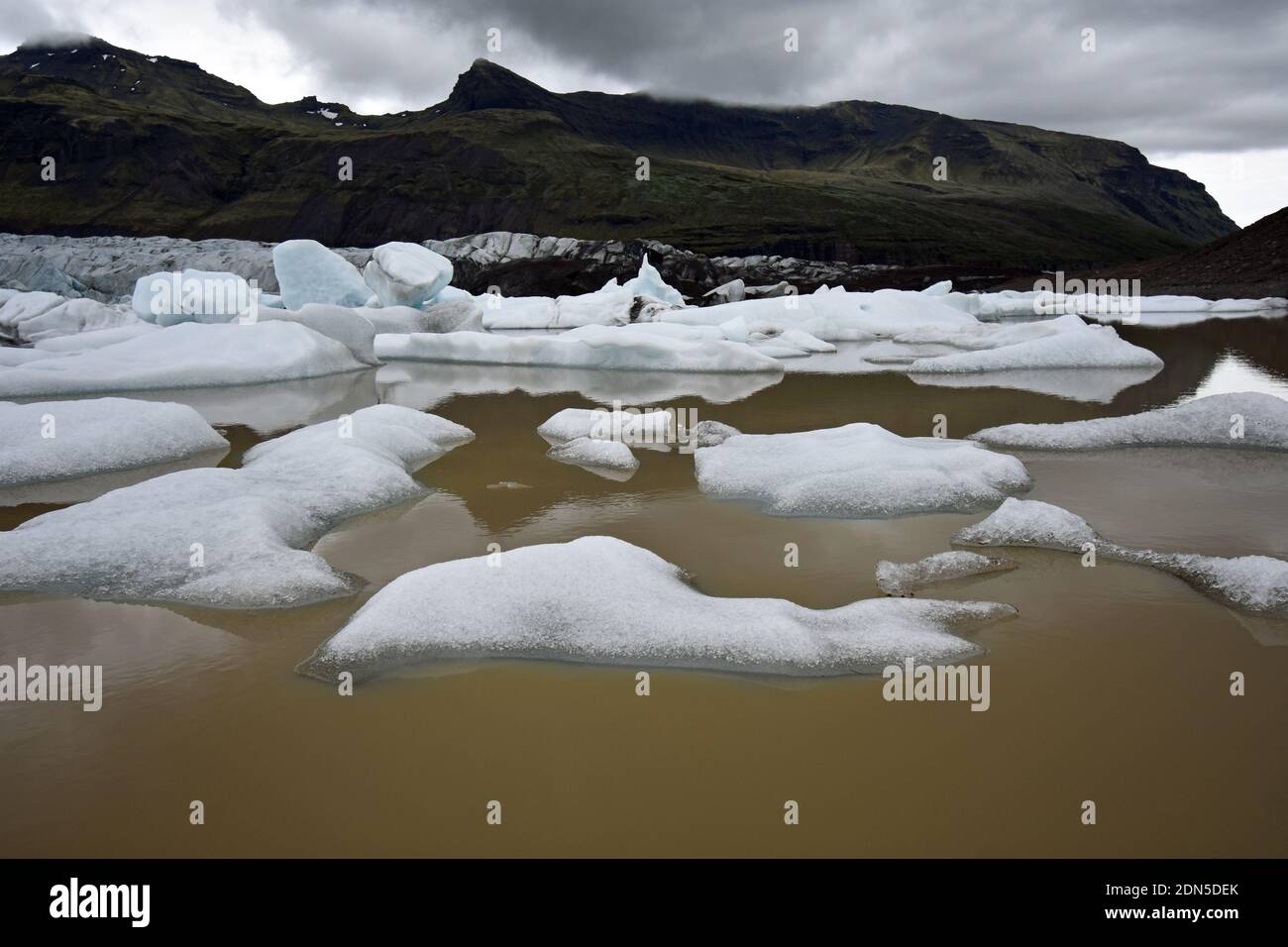 Le glacier de Svínafelljokull s'écoule dans le lagon glaciaire du parc national de Vatnajokull, au sud de l'Islande. Des morceaux de glace flottent dans le lac. Banque D'Images