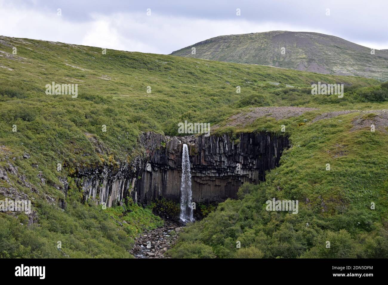 Une vue lointaine de la cascade de Svartifoss à Skaftafell, une partie du parc national de Vatnajokull, en Islande. La forêt entoure les colonnes de lave et la cascade Banque D'Images