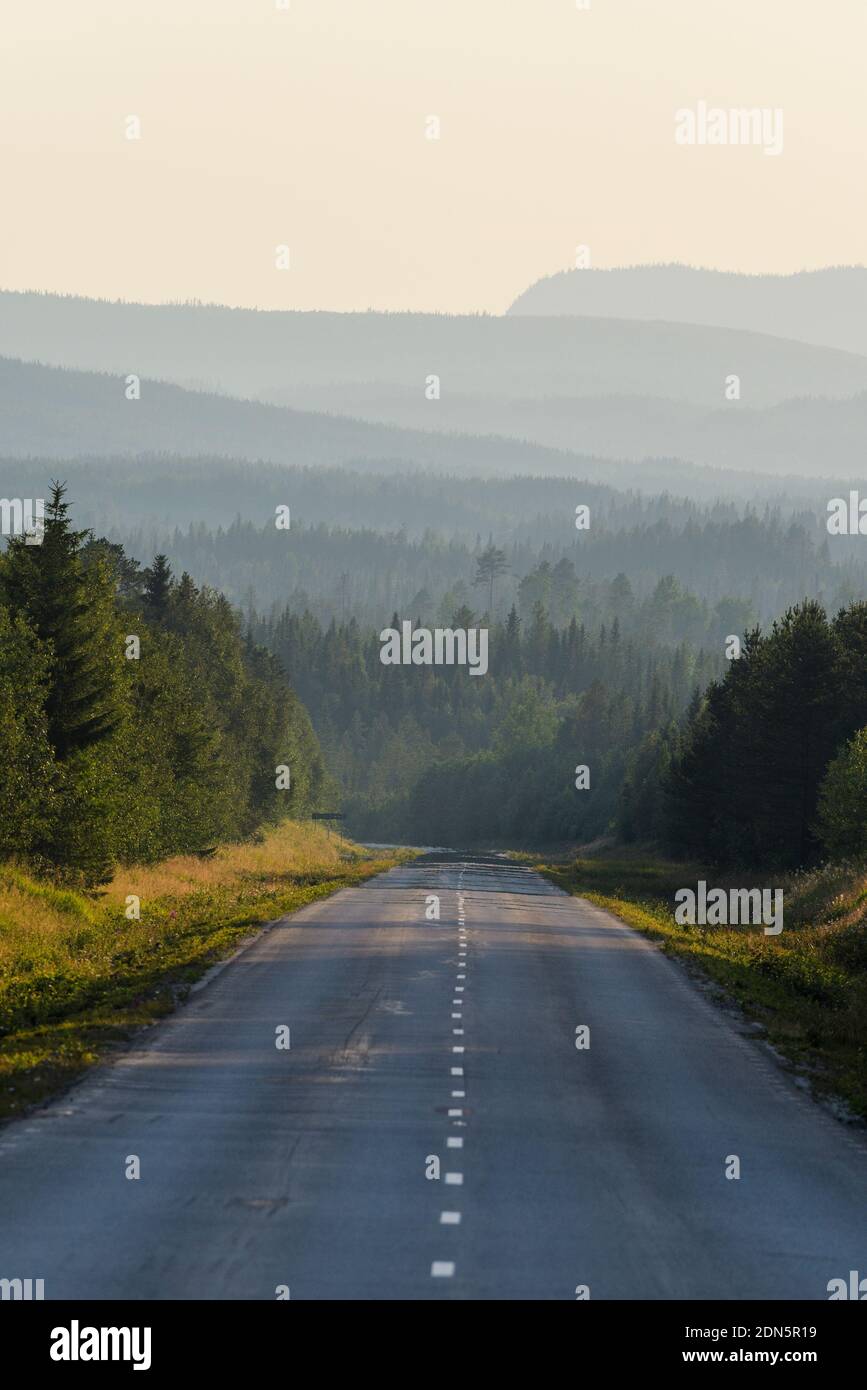Au milieu de la route arbres contre le ciel Banque D'Images