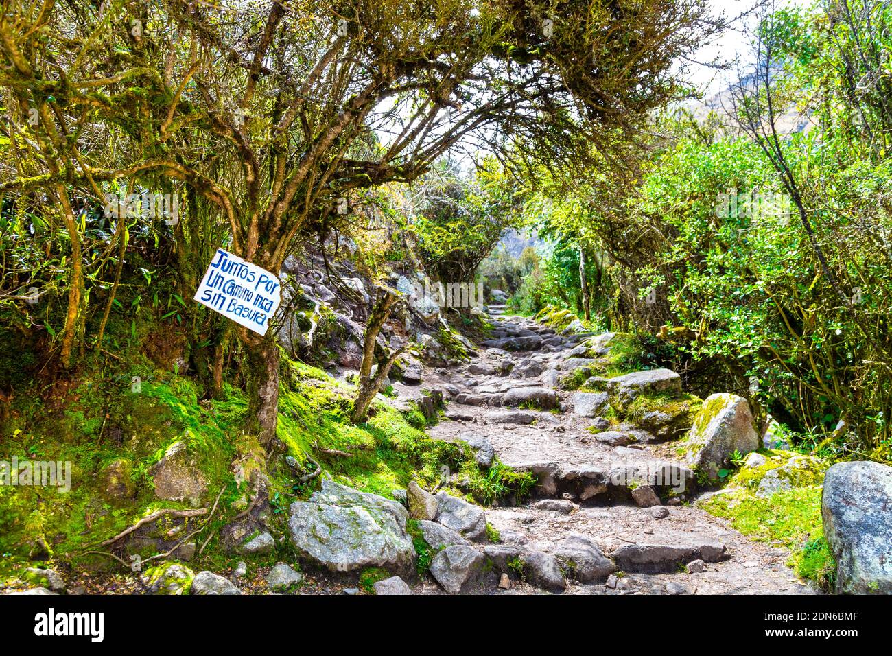 Escaliers en pierre et chemin à travers le jugle le long de la piste de l'Inca jusqu'à Machu Picchu, Vallée Sacrée, Pérou Banque D'Images