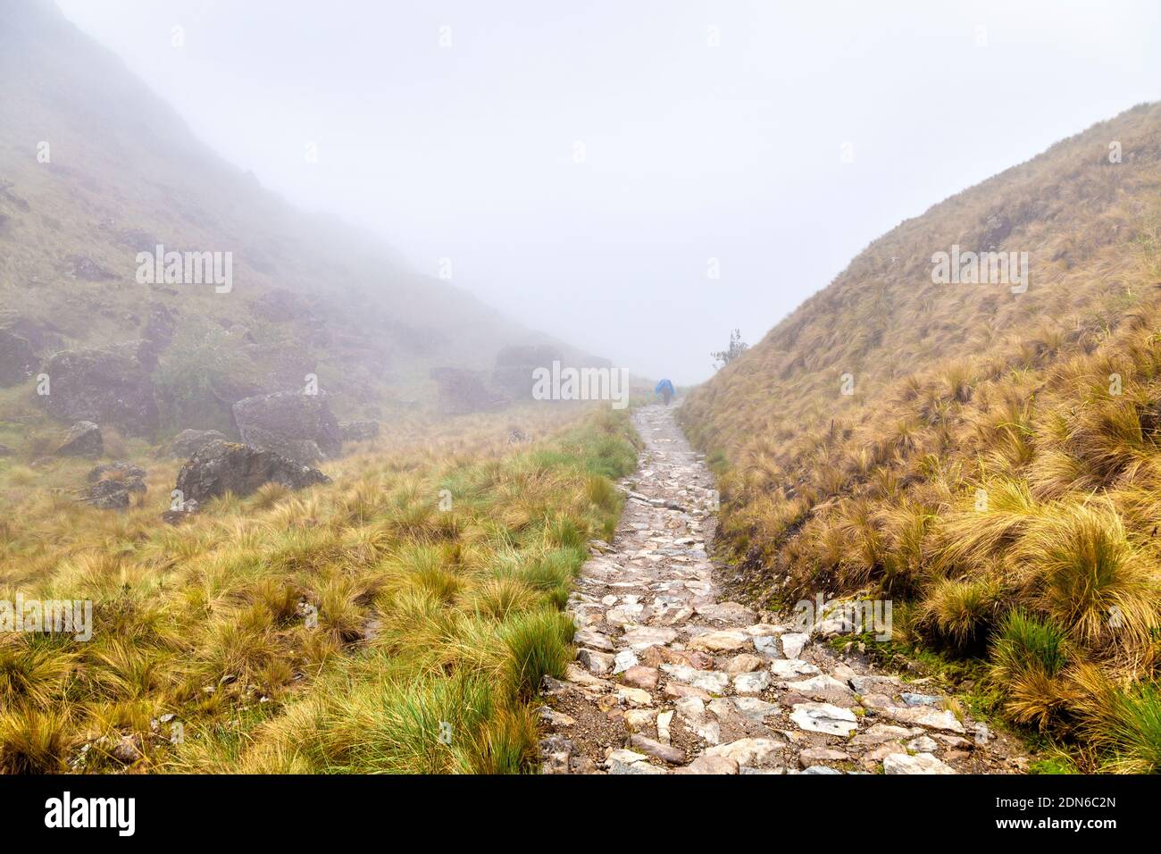 Chemin entouré de brume le long de la piste de l'Inca jusqu'à Machu Picchu, Vallée Sacrée, Pérou Banque D'Images