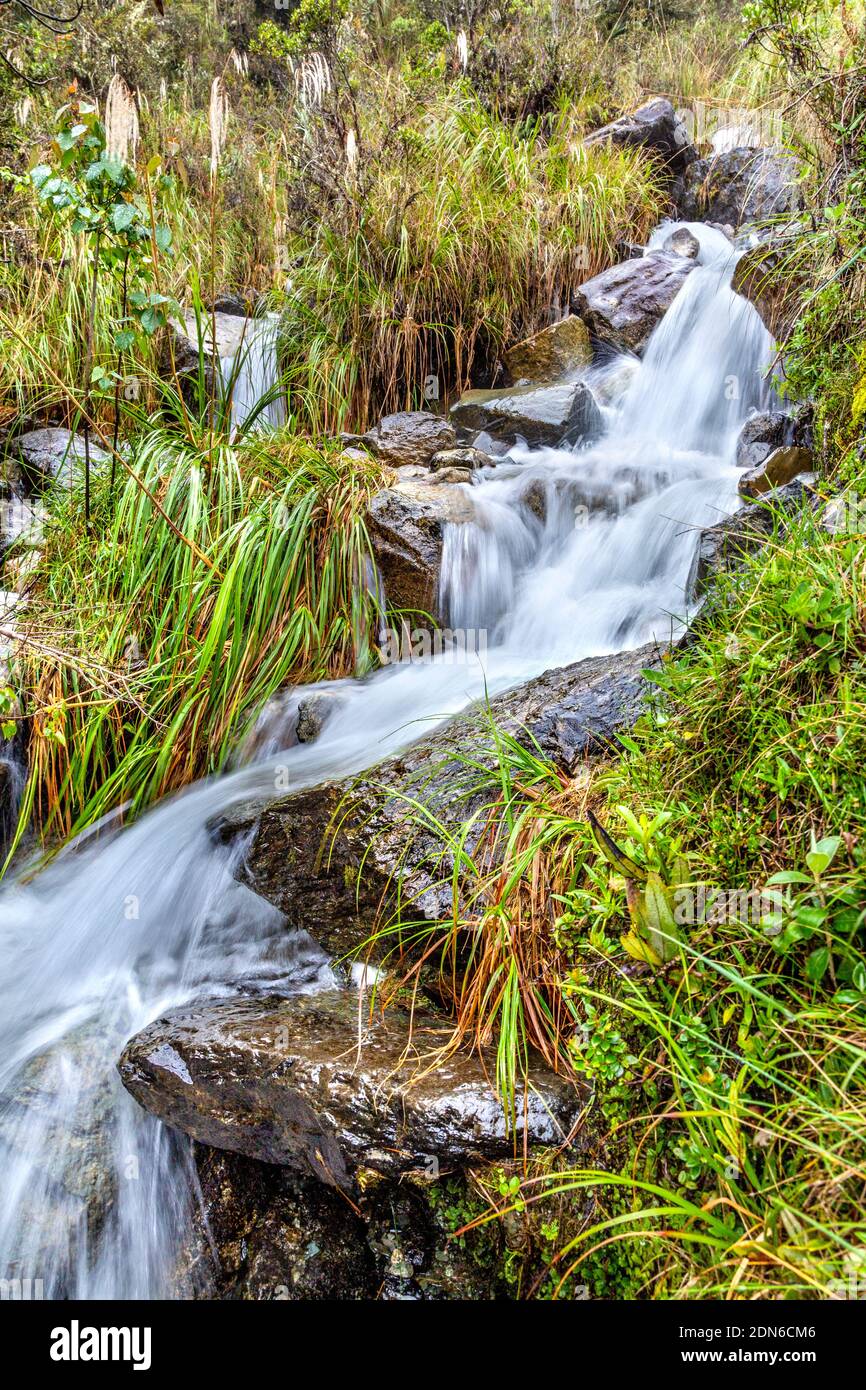 Cascade le long du sentier de l'Inca jusqu'au Machu Picchu, Vallée Sacrée, Pérou Banque D'Images