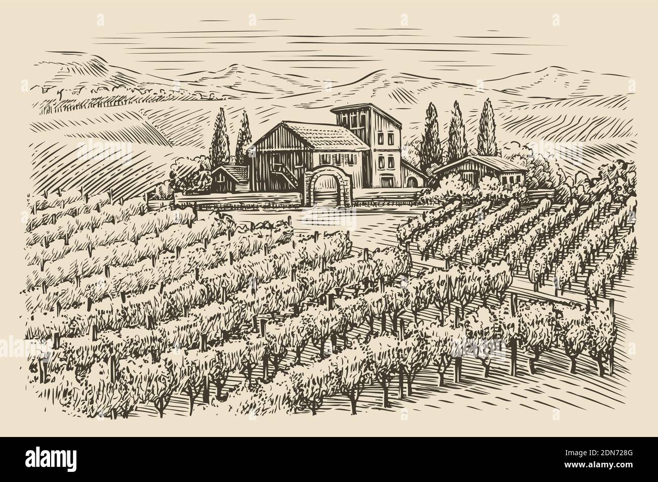 Croquis de paysage de vignoble. Illustration vectorielle vintage dessinée à la main Illustration de Vecteur