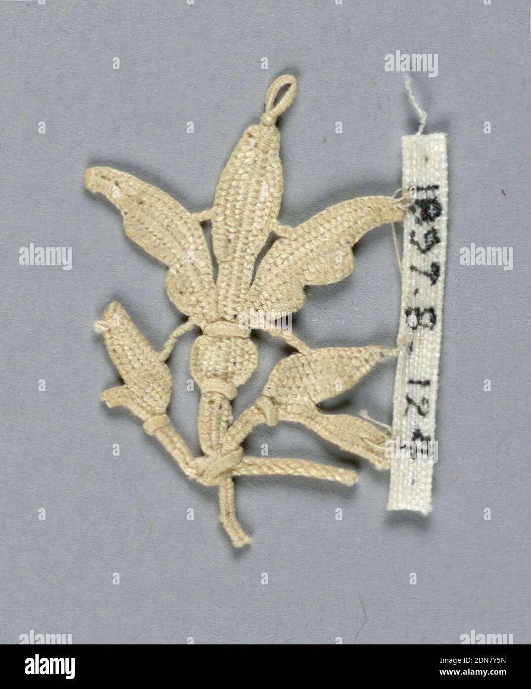 Fragment, Moyen: lin technique: Dentelle d'aiguille, fragment en forme de petite fleur en forme de cloche. Fleur centrale avec de petites tiges s'étendant en dessous., Italie, XVIe-XVIIe siècle, dentelle, fragment Banque D'Images