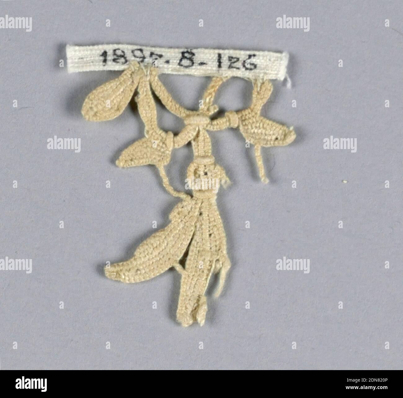 Fragment, Moyen: lin technique: Aiguille dentelle, fragment a une portion d'une petite fleur en forme de cloche avec deux pétales restants et quelques feuilles., Italie, XVIe-XVIIe siècle, dentelle, fragment Banque D'Images