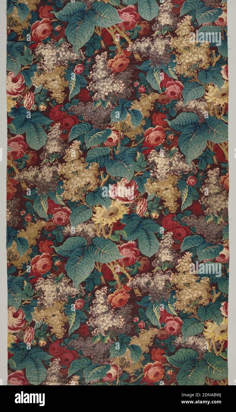 Textile, Moyen: Coton technique: Bloc de bois imprimé sur le tissu Uni, émaillé, longueur de chintz avec un fond violet foncé avec de grandes fleurs et le feuillage design arrangé dans le motif sur toute la surface de roses, lilas, etc avec de grandes feuilles. Imprimé en rouge, violettes, brun noir, jaune pâle et bleu-vert. Les feuilles sont bleu et jaune combinées; le jaune est passé pour laisser un ton bleuâtre., Angleterre, milieu du XIXe siècle, textiles imprimés, teints et peints, textile Banque D'Images