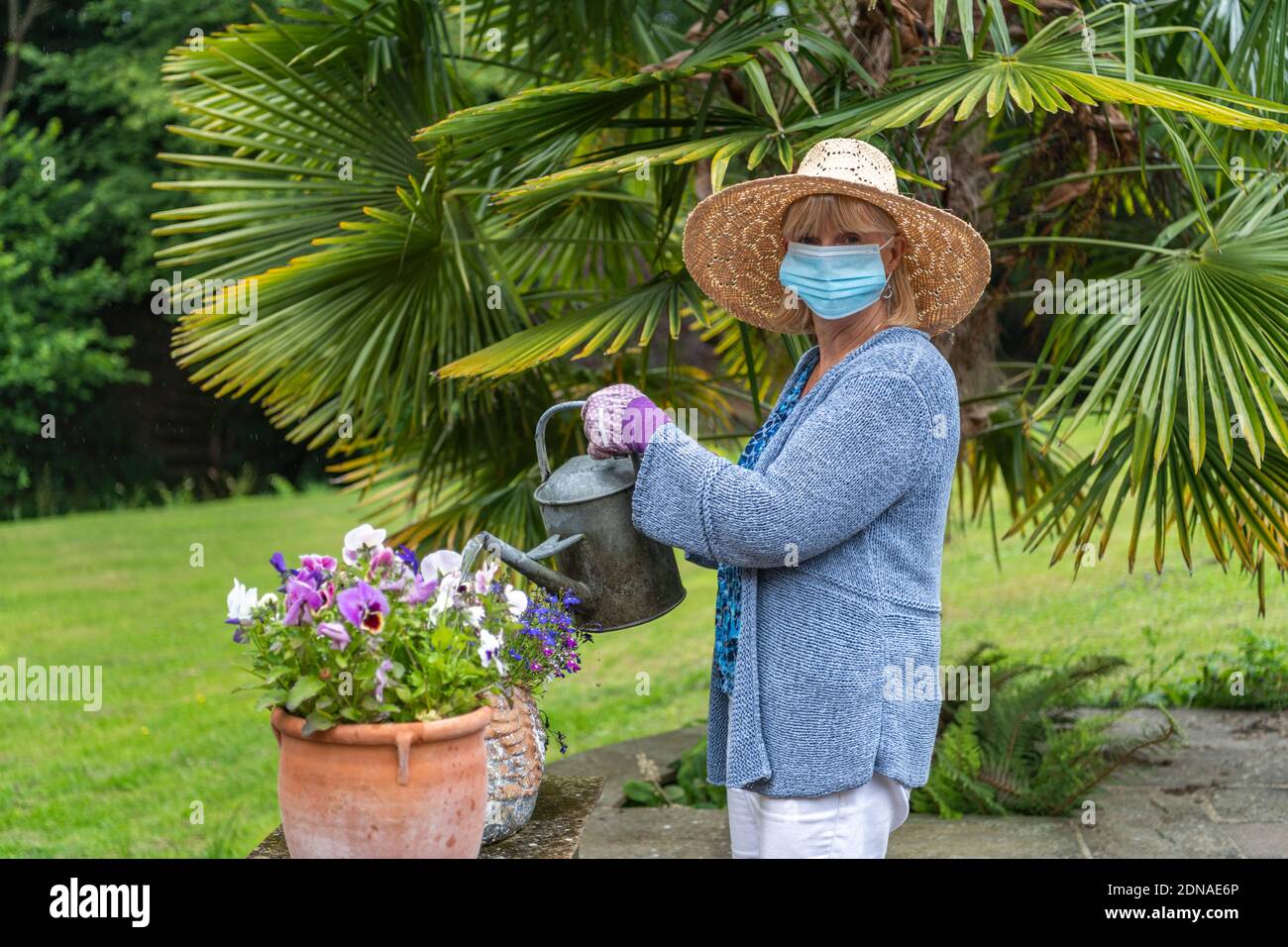 Femme qui arrose des plantes et des fleurs dans le jardin portant un masque facial couvrant pendant la pandémie de coronavirus Covid-19 en confinement Banque D'Images