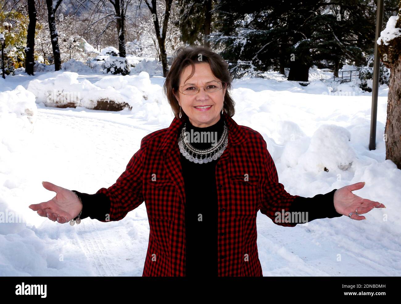 Anne-Marie David participe au 17e Festival international du film de télévision de Luchon à Luchon, dans les Pyrénées françaises, le 5 février 2015. Photo de Patrick Bernard/ABACAPRESS.COM Banque D'Images