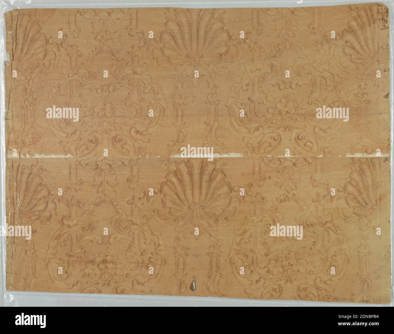 Shell Relief Banque De Photographies Et D Images A Haute Resolution Alamy