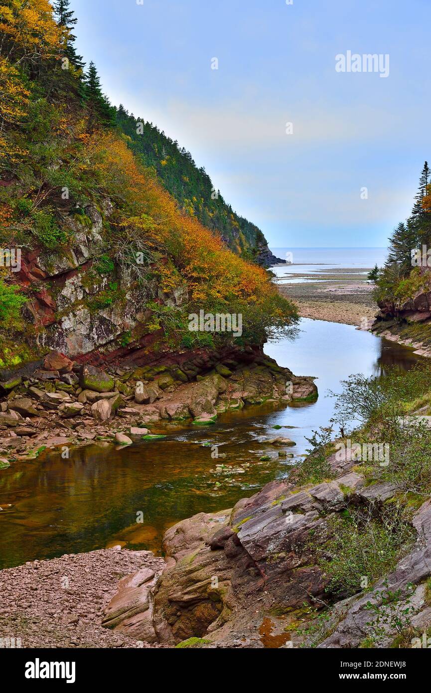 Image verticale de la côte est montrant l'eau du Point Wolfe rivière qui coule à travers les formations de roches rouges et Dans la baie de Fundy par cette voie Banque D'Images
