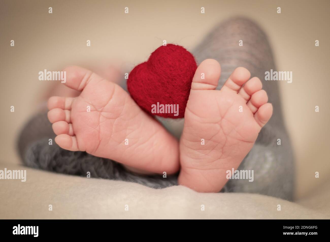 Pieds De Bebe Et Coeur En Peluche Photo Stock Alamy Pieds De Bebe Et Coeur En Peluche Photo Stock Alamy