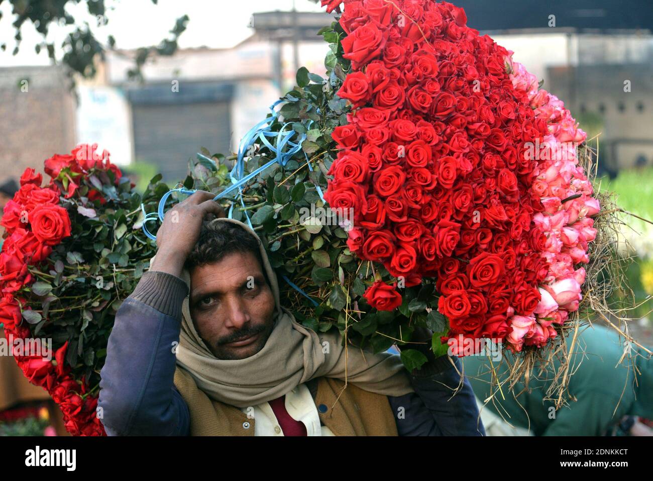 Un Paki Avec Un Bouquet De Rose Les grossistes pakistanais de fleurs présentent des roses et des guirlandes  fraîches pour attirer les clients sur le marché des fleurs (Phool Mandi)  comme les exigences des fleurs élevées pour les célébrations