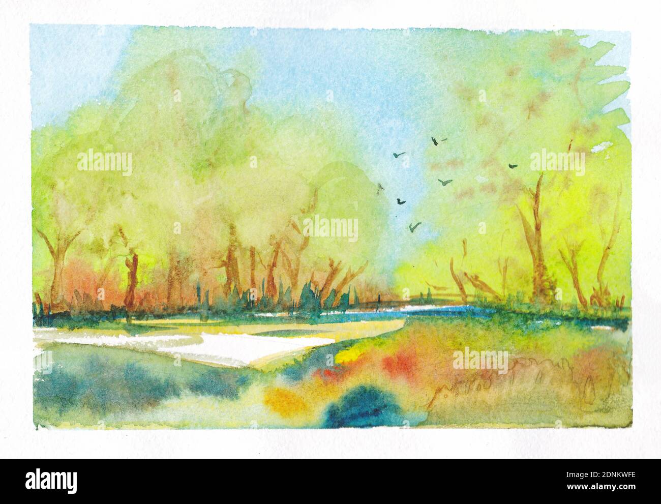Paysage De Printemps Arbres Dans La Foret Les Oiseaux Ont Vole L Illustration Aquarelle Dessin Sur Du Papier Aquarelle Texture Glade Nature Pelouse Dans Un Paquet Photo Stock Alamy
