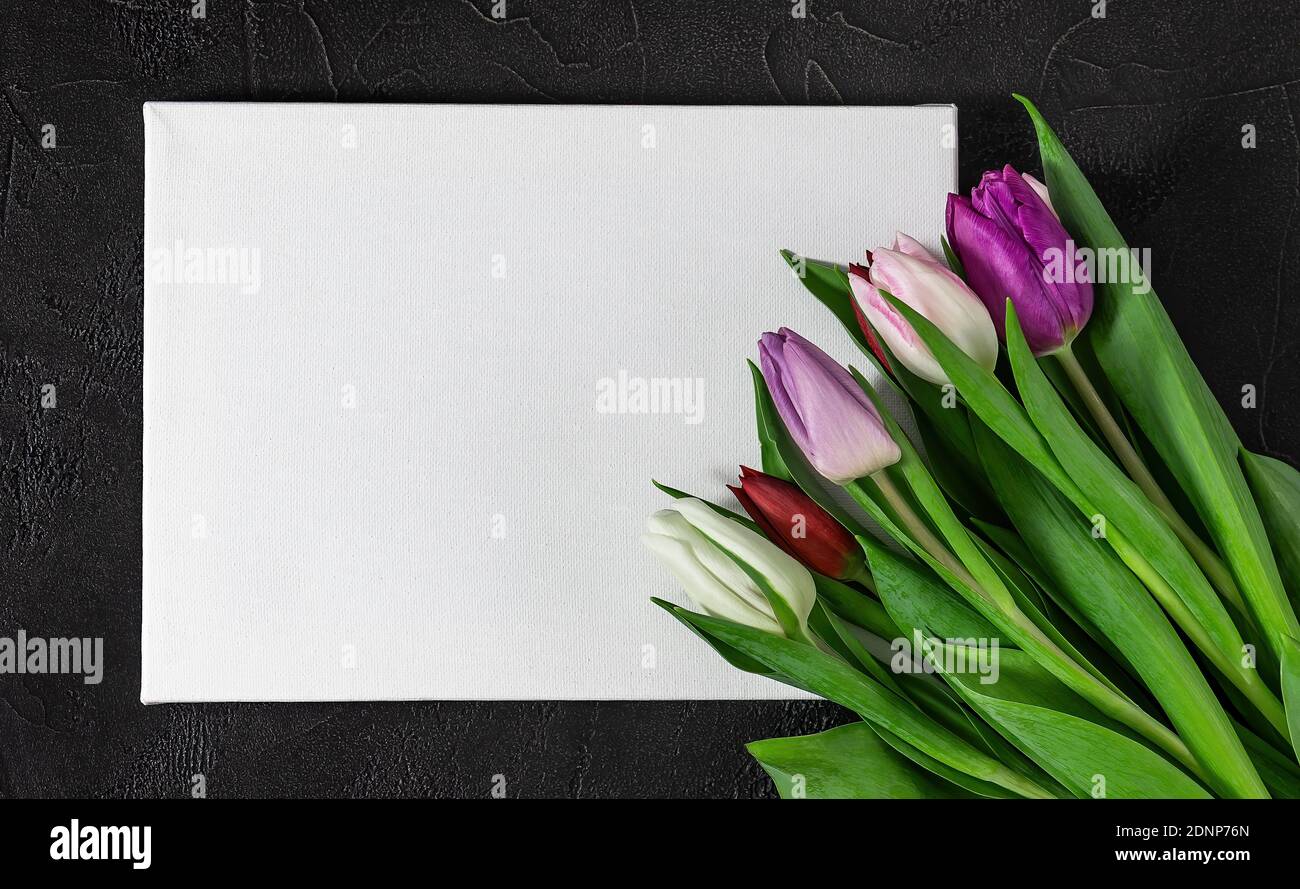 Composition florale avec de magnifiques tulipes sur fond noir. Bonne carte de Pâques ou pour les vacances de fête des mères. Banque D'Images