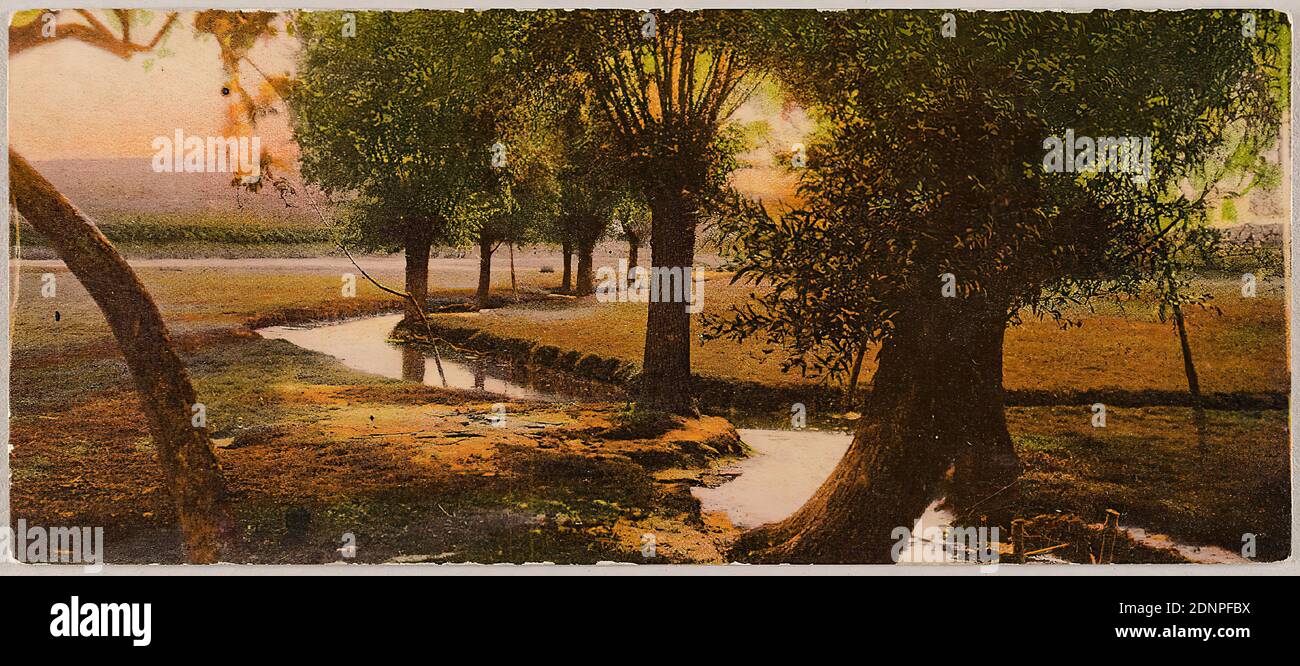 Oscar Hofmeister, Theodor Hofmeister, Nordwestdeutscher Kunstverlag G.bm. .H, arbres à saules par le ruisseau, Staatliche Landesbildstelle Hamburg, collection sur l'histoire de la photographie, carton, collotype, Total: Hauteur: 6,90 cm; largeur: 15,80 cm, Verlag, série 1902, photographie de voyage, paysage tempéré, paysage, paysage, paysage de rivière, paysage, paysage, soleil Banque D'Images
