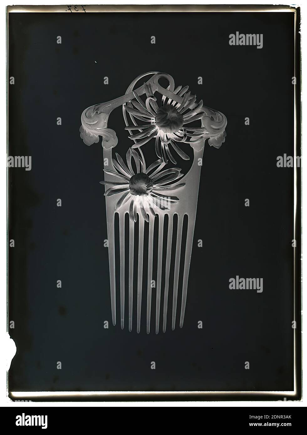 Wilhelm Weimar, bijoux peigne chrysanthèmes, verre négatif, noir et blanc négatif processus, total: Hauteur: 23.8 cm; largeur: 17.8 cm, numéroté: Haut gauche : en encre noire: 737, photographie, soins des cheveux, bijoux, bijoux, ornements de fleurs Brinckmann produit au nom de l'Autorité de l'école secondaire de Hambourg Banque D'Images Wilhelm Weimar, bijoux peigne chrysanthèmes, verre négatif, noir et blanc négatif processus, total: Hauteur: 23.8 cm; largeur: 17.8 cm, numéroté: Haut gauche : en encre noire: 737, photographie, soins des cheveux, bijoux, bijoux, ornements de fleurs Brinckmann produit au nom de l'Autorité de l'école secondaire de Hambourg Banque D'Images
