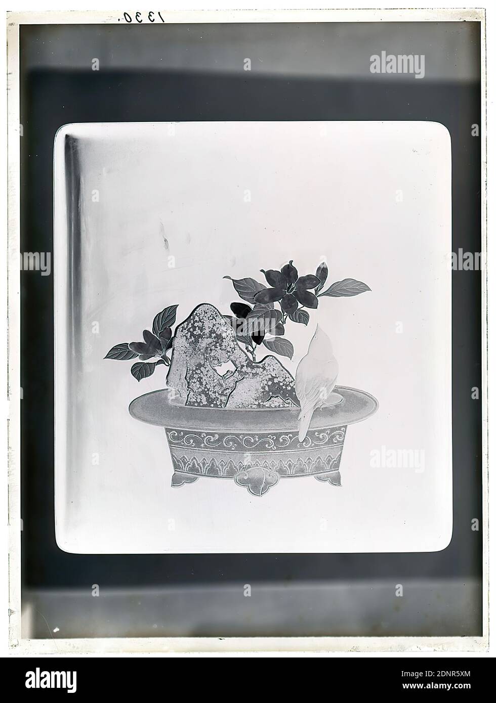 Wilhelm Weimar, boîte à lettres avec pot à fleurs et à oiseaux (Suzuribako), négatif en verre, négatif noir et blanc, total: Hauteur: 23.8 cm; largeur: 17.8 cm, numéroté: Haut à gauche. : à l'encre noire : 1330, oiseaux, fleurs, arts et artisanat, arts et artisanat, design industriel, travail d'art appliqué (laque), coffre, boîte, caisse qui a classé les objets individuels selon divers mots clés Banque D'Images