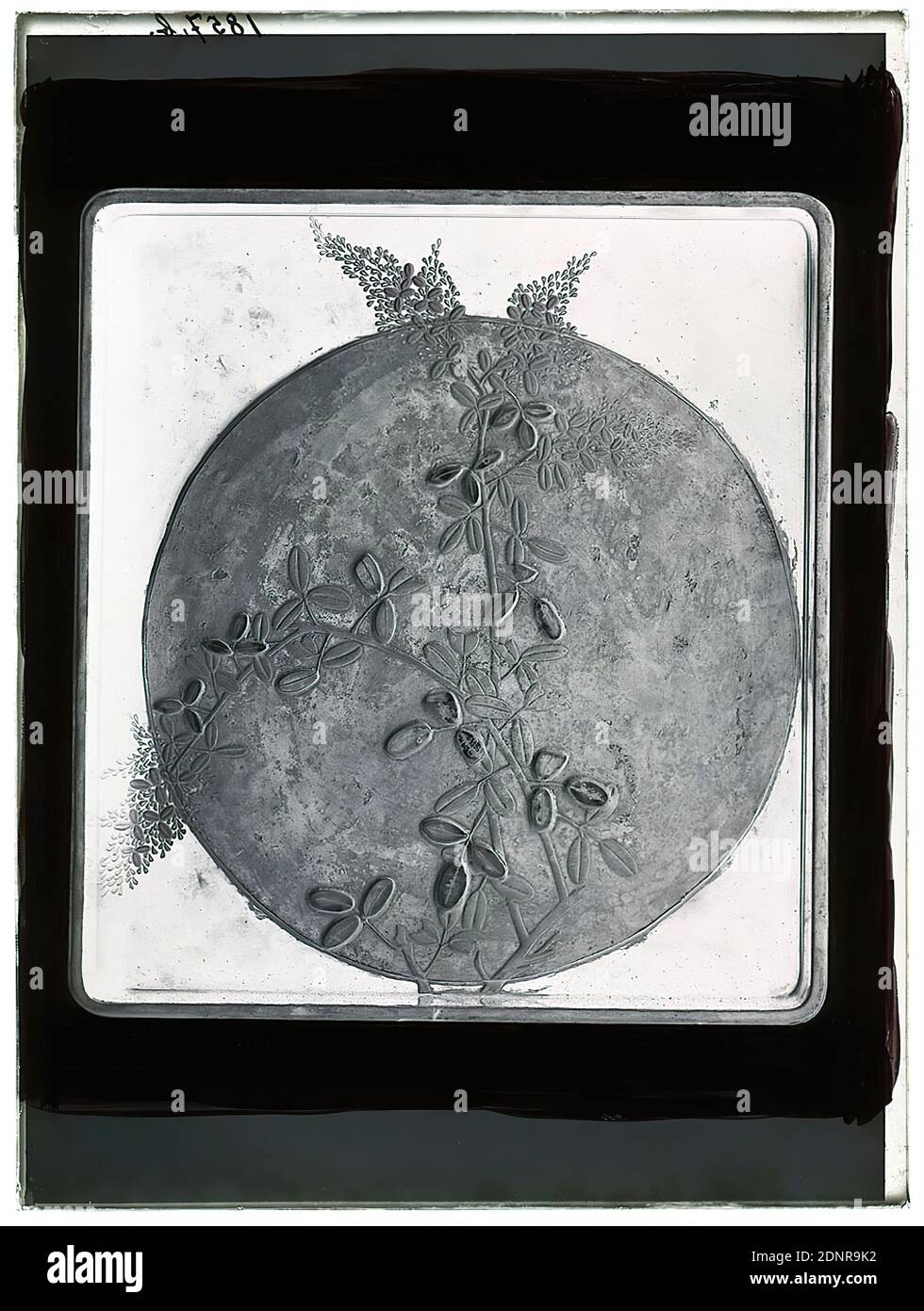 Wilhelm Weimar, couverture intérieure, boîte en papier avec paire de cerfs et d'érable (shikishibako), négatif en verre, négatif noir et blanc, procédé total: Hauteur: 23.8 cm; largeur: 17.8 cm, numéroté: Haut à gauche: En encre noire: 1857,b, oeuvre d'art appliqué (laque), contenant, ornements végétaux, lune, coffre, boîte, caisse, artisanat, art et artisanat, dessin industriel Banque D'Images