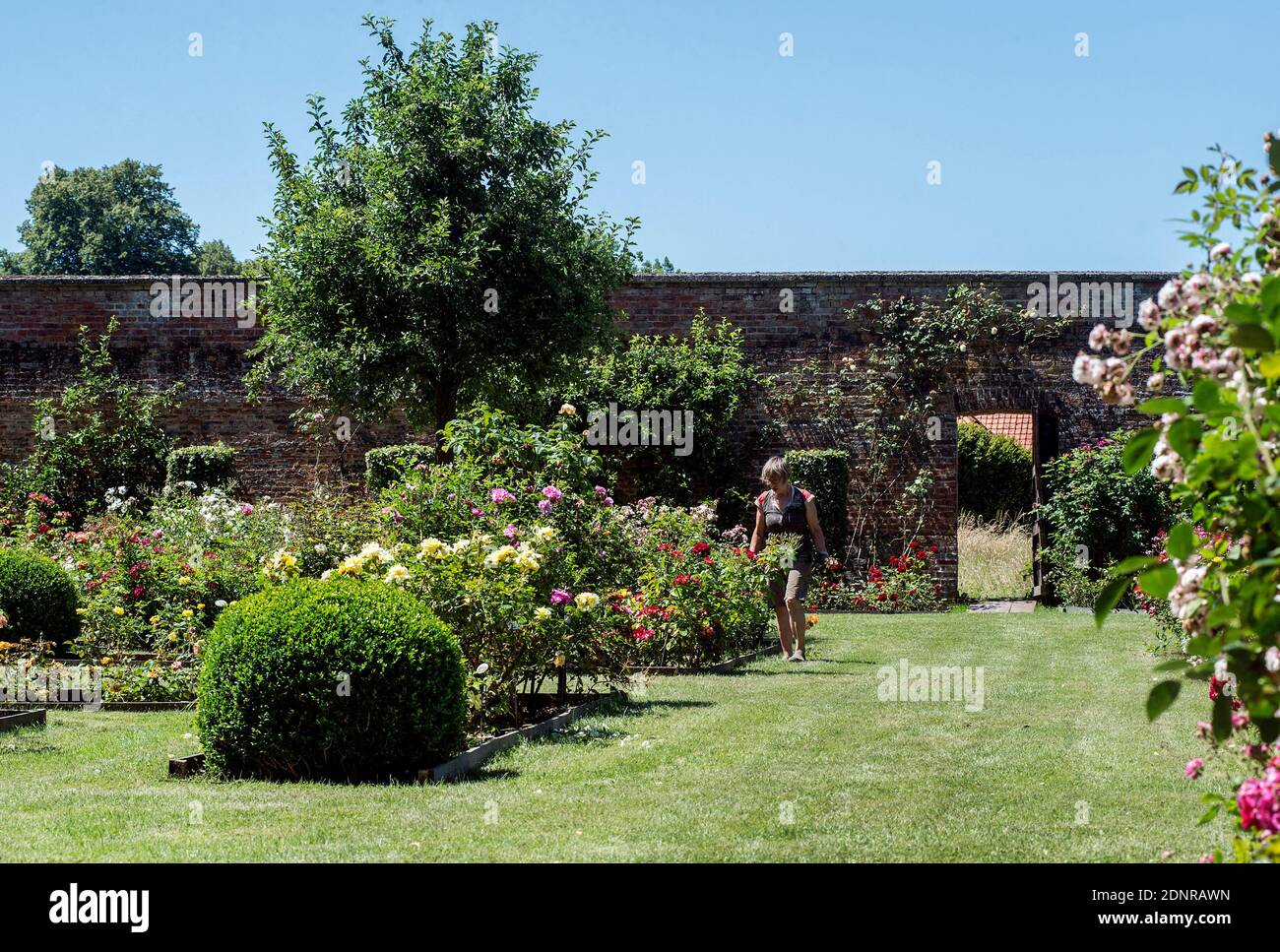 Château de Rambures, château enregistré comme site historique national (monument historique français). La roseraie. Banque D'Images