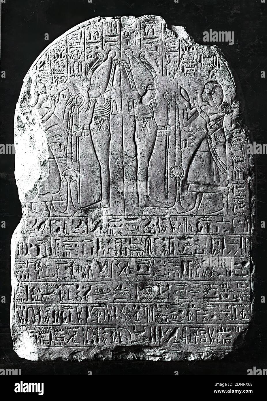 Pierre gravière du lièvre, calcaire, ciselée, reliefs, calcaire, Total: Hauteur: 34 cm; largeur: 25 cm; profondeur: 7.5 cm, équipement de tombe, monument funéraire, tombeau, lieu de sépulture, Osiris, dieu du monde inférieur, pratiques rituelles dans la religion égyptienne, le stèle gravitriculaire petit format a une finition semi-circulaire. Bien que le dos ait été en gros travaillé, le devant finement lissé a un relief dans la partie supérieure et de grandes inscriptions verticales et horizontales. Le côté gauche montre une éruption importante, le côté droit a des bords bombés. Banque D'Images