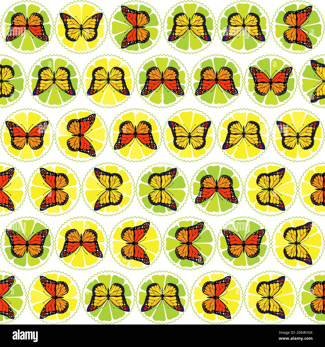 Motif de papillons sur les tranches de citron vert et de citron. L'art pour les enfants. Banque D'Images