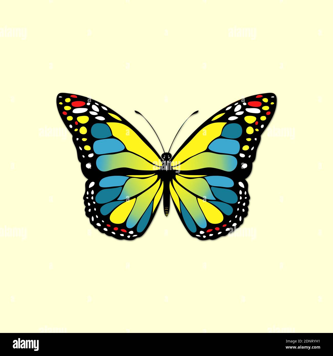 Motif papillon bleu et jaune. Banque D'Images