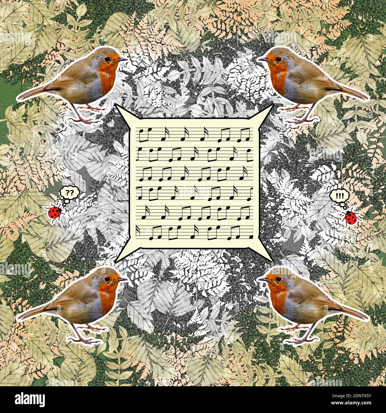 Quatre robins chantants sur un fond de forêt. Art numérique multimédia mixte Banque D'Images