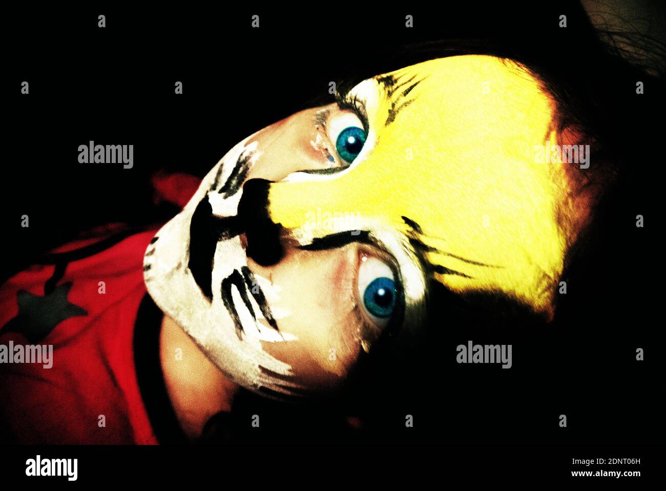 Portrait d'une fille avec la peinture de visage de tigre Banque D'Images