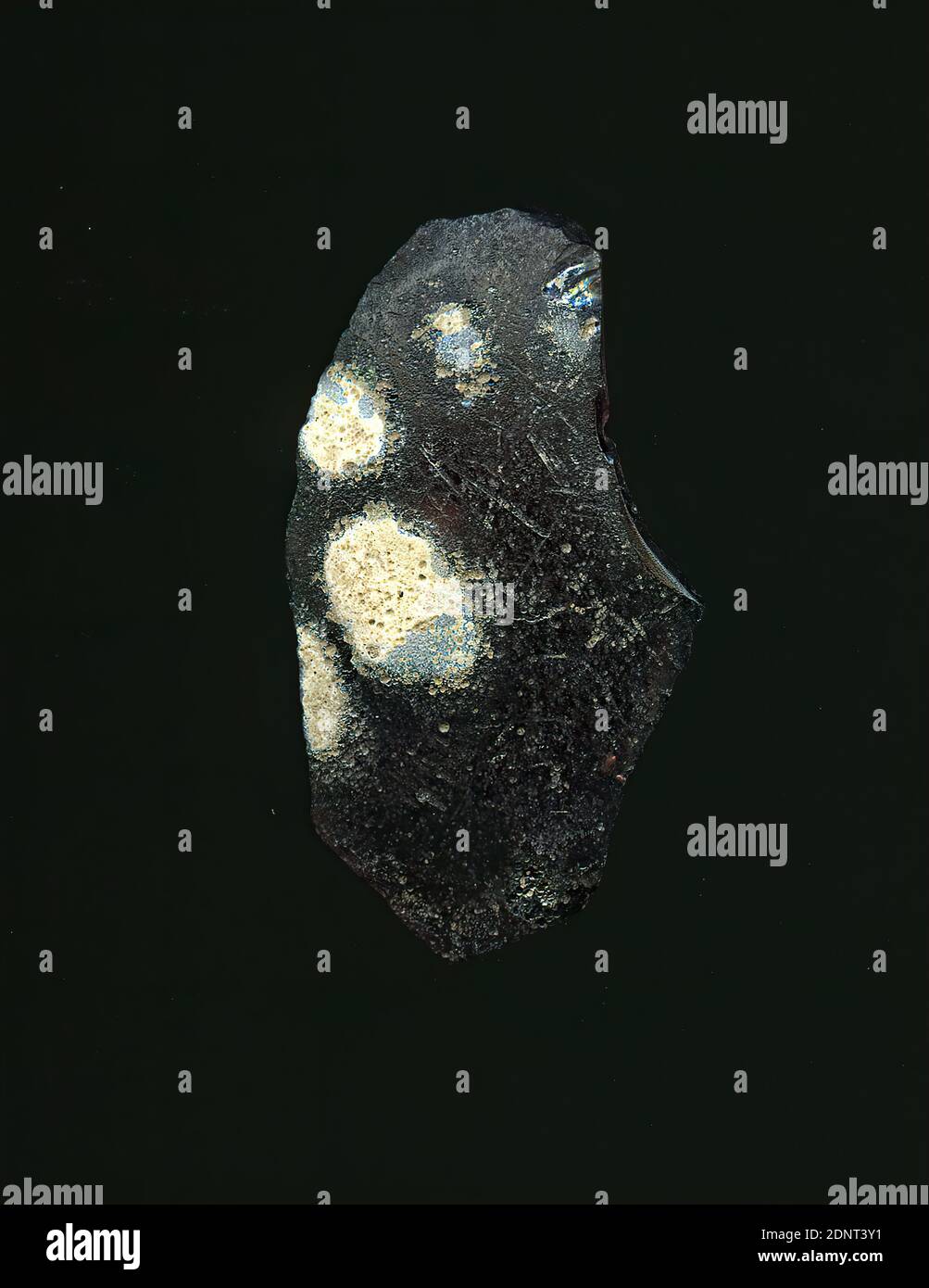 Fragment d'un vaisseau, verre, pressé, coupé, Total: Hauteur: 3.20 cm; largeur: 1.80 cm, conteneur, stockage, travail de cuisine, début de la période impériale, UNE légère courbure du fragment de verre permet l'affectation à un vaisseau, éventuellement un bol. Quatre points blancs disposés de manière irrégulière sont visibles dans le verre violet, dont la surface est fortement corrodée. Pour la production, des verres de différentes couleurs ont été formés en tubes et en tiges. Ils ont été pressés ensemble et chauffés, ce qui a donné une longue tige. Le verre, maintenant coupé en tranches, avait des motifs amorphes ou floraux différents. Banque D'Images