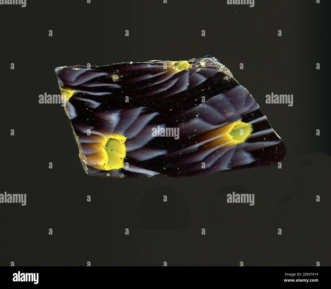 Fragment d'un vaisseau, verre, technique millefiori, Total: Hauteur: 2.00 cm; largeur: 2.80 cm, conteneur, stockage, travail de cuisine, ornements floraux, période impériale précoce, UNE légère courbure du fragment de verre permet l'affectation à un vaisseau, éventuellement un bol. Plusieurs fleurs en technique de millefiori peuvent être vues sur un sol violet. Autour d'un cercle jaune, les lignes blanches sont disposées en pétales radiaux, toutes les lignes étant déformées. Pour la production, des verres de différentes couleurs ont été formés sur des tubes et des tiges. Ils ont été pressés ensemble et chauffés, ce qui a donné une longue tige. Banque D'Images