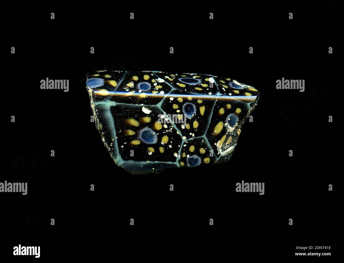 Fragment d'un vaisseau, verre, technique millefiori, Total: Hauteur: 1.50 cm; largeur: 2.50 cm, conteneur, stockage, travail de cuisine, ornements de fleurs, période impériale précoce, UNE légère courbure du fragment de verre permet l'affectation à un vaisseau, éventuellement un bol. Sur le shard noir, les fleurs sont représentées dans la technique de millefiori, séparées par une grille de lignes turquoises rappelant les nids de miel. Une fleur se compose d'un noyau bleu avec un contour blanc autour duquel les points jaunes sont disposés en cercle. Pour la production, des verres de différentes couleurs ont été formés en tubes et en tiges. Banque D'Images