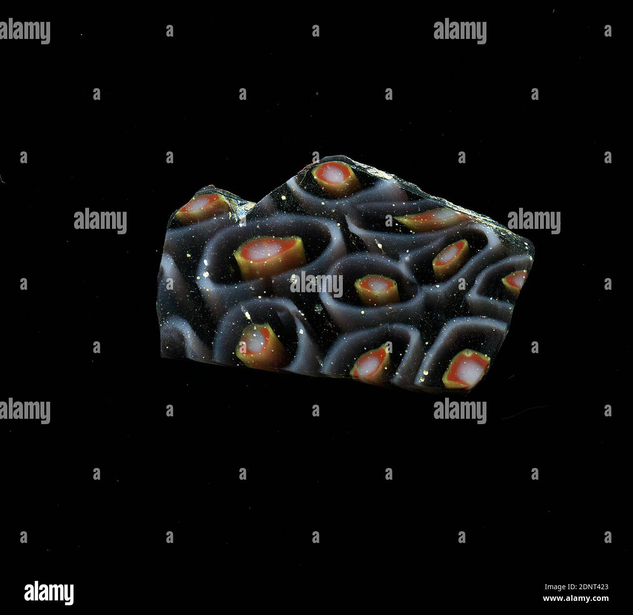 Fragment d'un vaisseau, verre, technique millefiori, Total: Hauteur: 1.70 cm; largeur: 2.70 cm, conteneur, stockage, travail de cuisine, ornements de fleurs, période impériale précoce, UNE légère courbure du fragment de verre permet l'affectation à un vaisseau, éventuellement un bol. Plusieurs fleurs simples sont représentées sur fond violet dans la technique de millefiori. Autour d'un point blanc avec une bordure rouge et jaune, un cercle blanc est tracé à une certaine distance, marquant les pétales. Pour la production, des verres de différentes couleurs ont été formés sur des tubes et des tiges. Banque D'Images