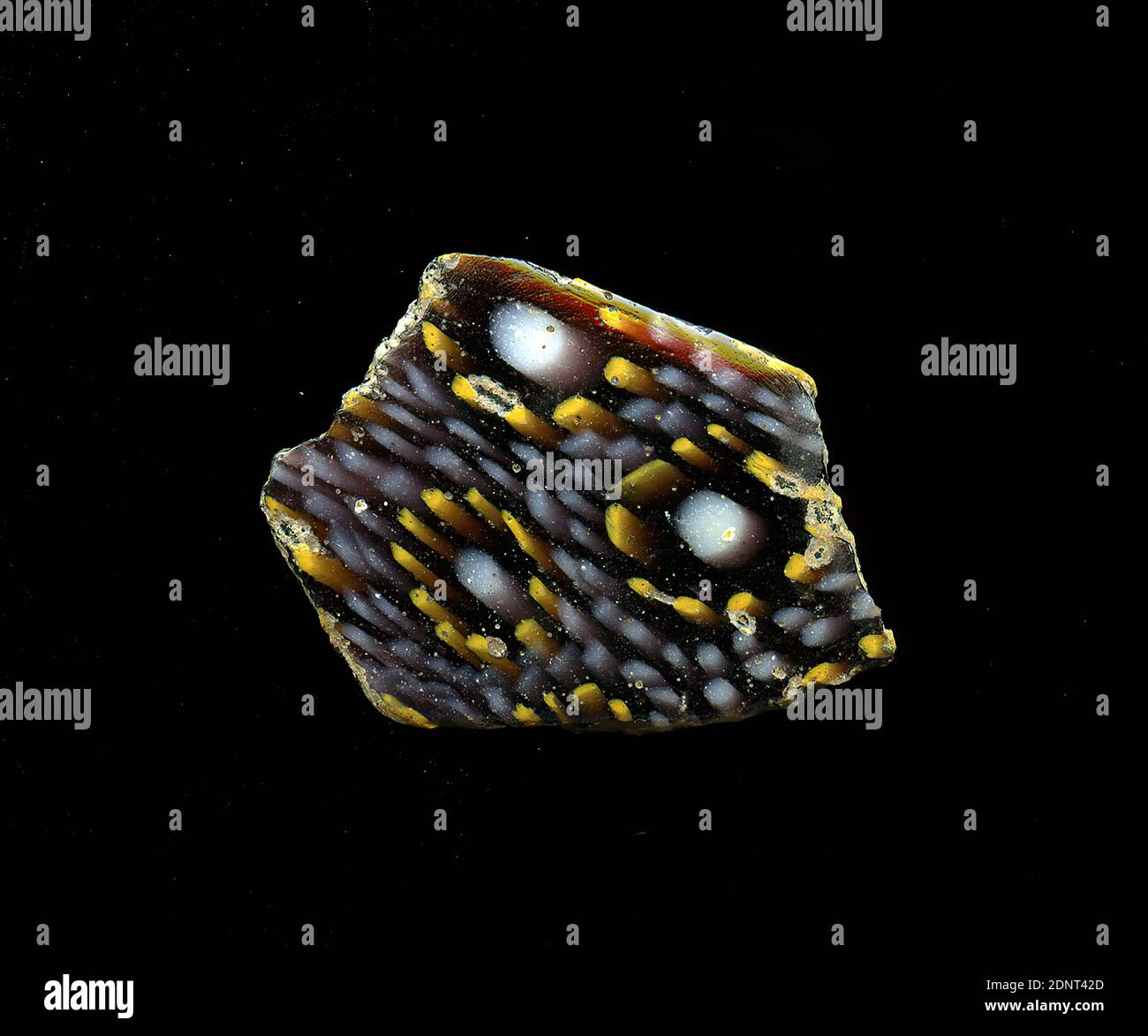 Fragment d'un vaisseau, verre, technique millefiori, Total: Hauteur: 2.30 cm; largeur: 1.70 cm, conteneur, stockage, travail de cuisine, ornements floraux, période impériale précoce, UNE légère courbure du fragment de verre permet l'affectation à un vaisseau, éventuellement un bol. Plusieurs fleurs stylisées de la technique millefiori sont présentées en verre violet. Autour d'un point blanc se trouve un anneau de petits points jaunes, autour duquel un autre plus grand anneau de points blancs est placé. Pour la production, des verres de différentes couleurs ont été formés en tubes et en tiges. Ils ont été pressés ensemble et chauffés, ce qui a donné une longue tige. Banque D'Images