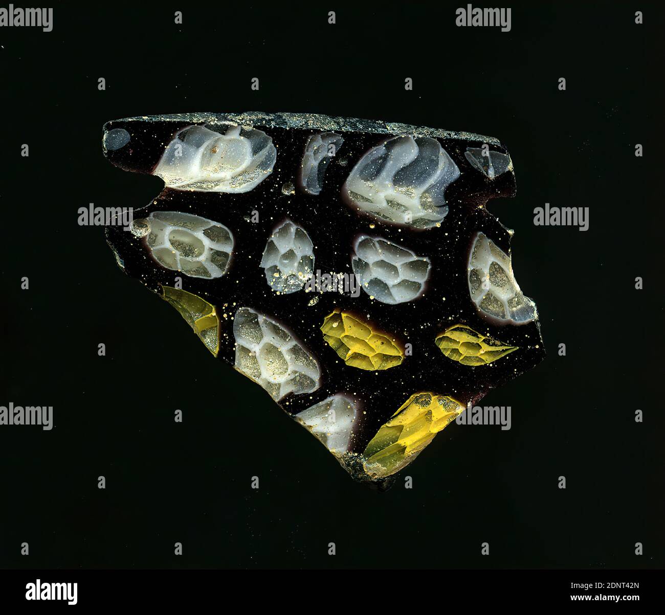 Fragment d'un vaisseau, verre, technique millefiori, Total: Hauteur: 3.60 cm; largeur: 3.00 cm, conteneur, stockage, cuisine, boisson et barque, ornements floraux, début de la période impériale, UNE légère courbure du fragment de verre permet l'affectation à un vaisseau. Sur fond violet, on peut voir une multitude de petites fleurs, qui sont structurées de la même façon. Les contours jaune et blanc encadrent le noyau et les feuilles des fleurs transparentes. Pour la production, des verres de différentes couleurs ont été formés en tubes et en tiges. Ils ont été pressés ensemble et chauffés, ce qui a donné une longue tige. Banque D'Images