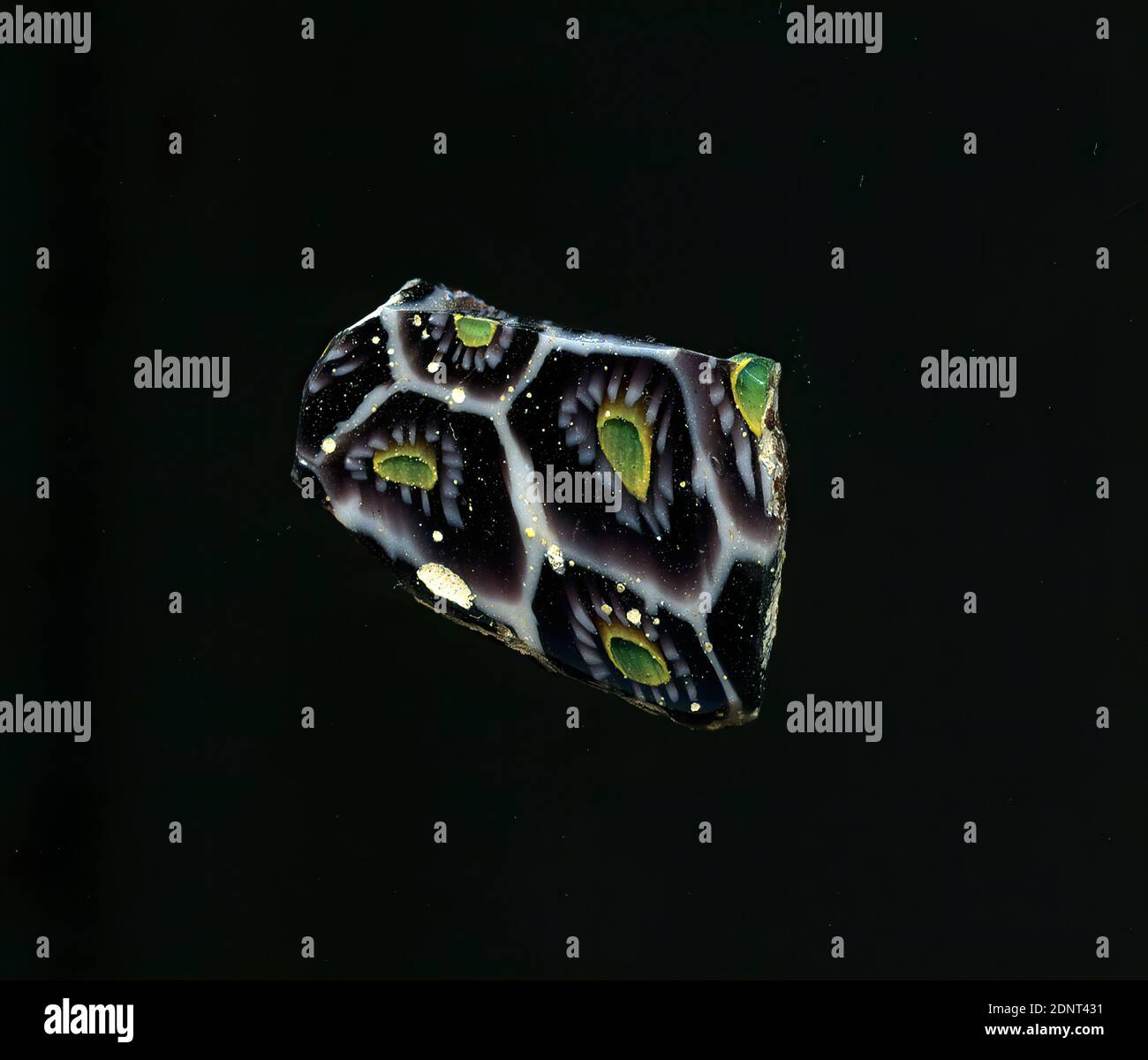 Fragment de vaisseau, verre, technique millefiori, Total: Hauteur: 1,50 cm; largeur: 1,90 cm, conteneur, stockage, travail de cuisine, ornements de fleurs, début de la période impériale, UNE légère courbure du fragment de verre permet l'attribution à un bateau, peut-être un bol plusieurs fleurs sont représentées sur un fond violet dans la technique de millefiori, séparées l'une de l'autre par une grille blanche en nid d'abeille. Autour d'un cercle vert-jaune, plusieurs petits points blancs sont disposés dans un cercle qui marque les pétales. Pour la production, des verres de différentes couleurs ont été formés en tubes et en tiges. Banque D'Images