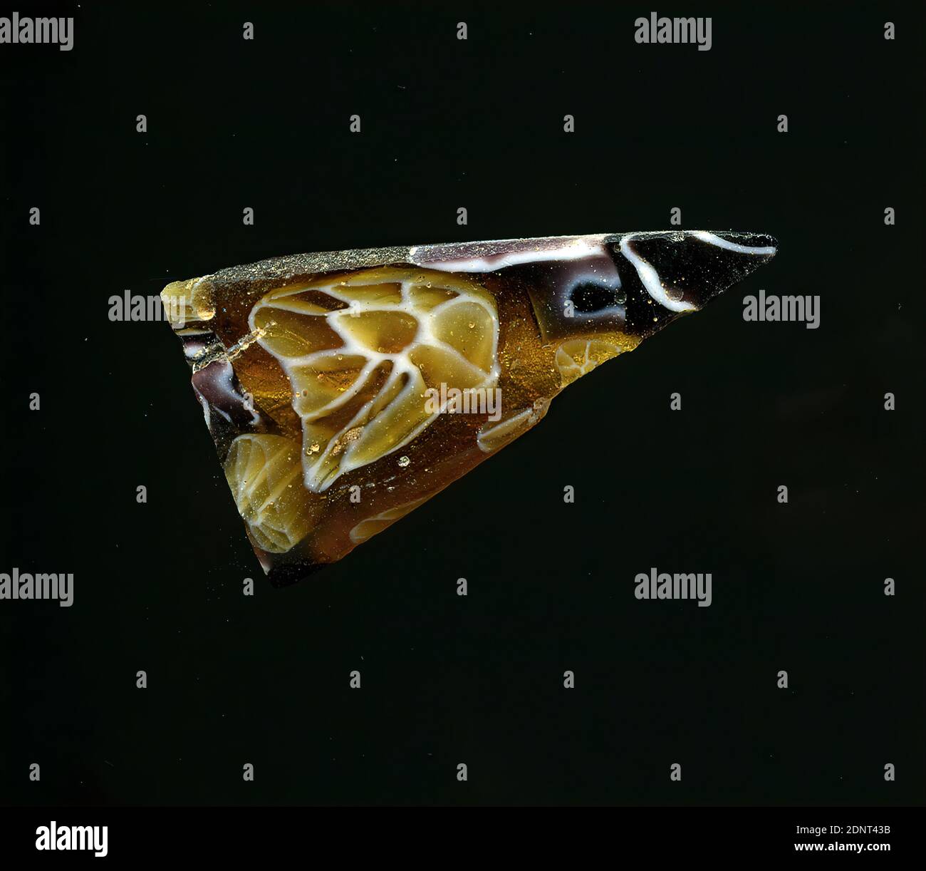 Fragment d'un vaisseau, verre, technique millefiori, Total: Hauteur: 2.70 cm; largeur: 1.50 cm, conteneur, stockage, travail de cuisine, ornements de fleurs, période impériale précoce, UNE légère courbure du fragment de verre permet l'affectation à un vaisseau, éventuellement un bol. La couleur du verre passe du brun doré au violet. Il montre des fleurs en technique millefiori, dont les contours (coeur intérieur et pétales) sont encadrés en blanc. Les lignes du verre violet sont déformées. Pour la production, des verres de différentes couleurs ont été formés en tubes et en tiges. Banque D'Images