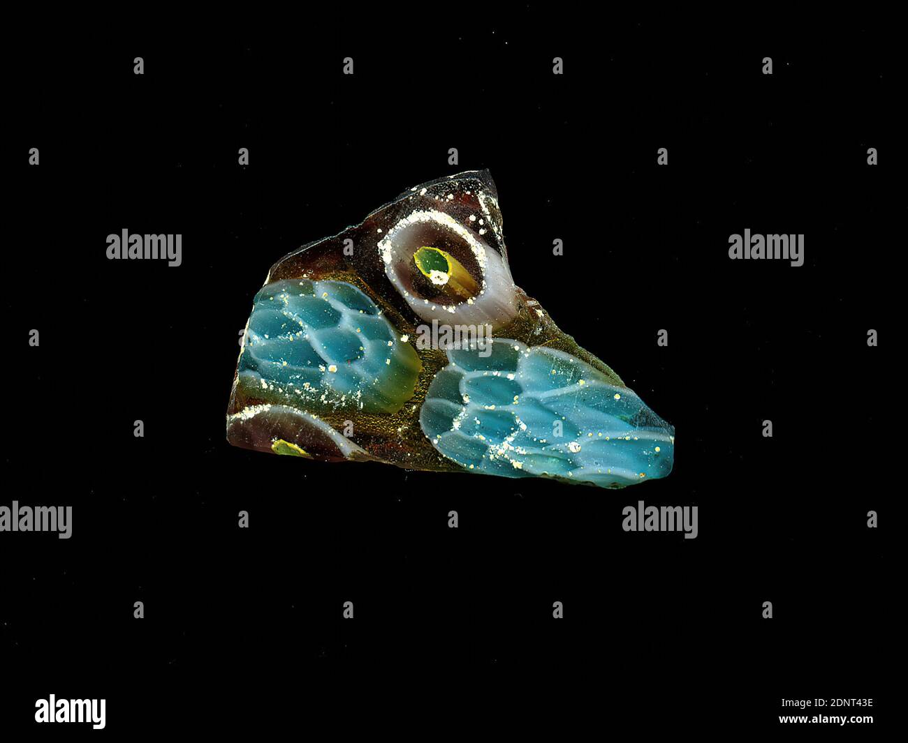 Fragment d'un vaisseau, verre, technique millefiori, Total: Hauteur: 2.20 cm; largeur: 1.80 cm, conteneur, stockage, travail de cuisine, ornements floraux, période impériale précoce, UNE légère courbure du fragment de verre permet l'affectation à un vaisseau, éventuellement un bol. Sur un terrain violet à impact jaune, on peut voir deux formes de fleurs en technique de millefiori. On est simple, sous forme de cercles concentriques dans la séquence de couleurs bleu, jaune, violet et blanc de l'intérieur vers l'extérieur. Dans le second, les fleurs sont composées de points bleu clair et bordées de blanc. Banque D'Images