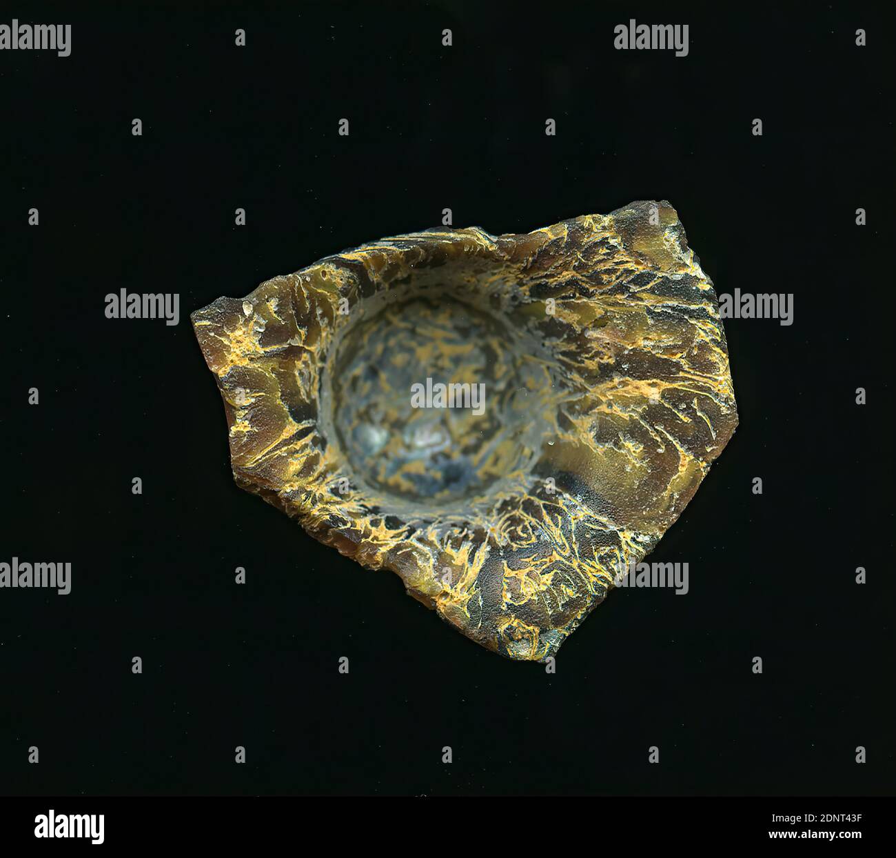 Fragment d'un vaisseau, verre, pressé, coupé, Total: Hauteur: 3.10 cm; largeur: 4.00 cm; profondeur: 1.60 cm, conteneur, stockage, travail de cuisine, période impériale précoce, la forme du fragment de verre permet l'affectation à un vaisseau. Le sol brun est strié avec des fils jaunâtres-beiges. Pour la production, des verres de différentes couleurs ont été formés en tubes et en tiges. Ils ont été pressés ensemble et chauffés, ce qui a donné une longue tige. Le verre maintenant coupé en tranches avait des motifs amorphes ou floraux différents. Plusieurs de ces plaques ont ensuite été repliées ensemble, réchauffées à nouveau et pressées sous forme de récipient. Banque D'Images